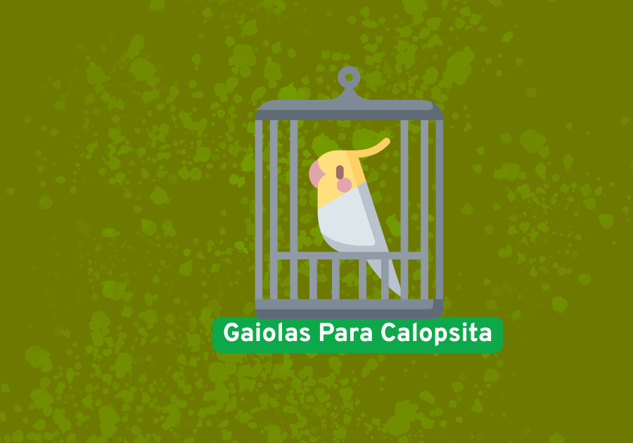 gaiola para calopsita
