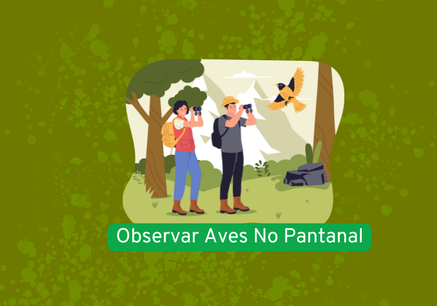 observar aves no Pantanal
