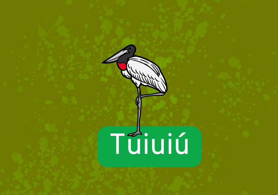 Tuiuiú