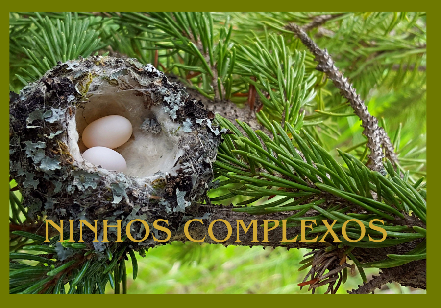 Ninhos Complexos de Aves
