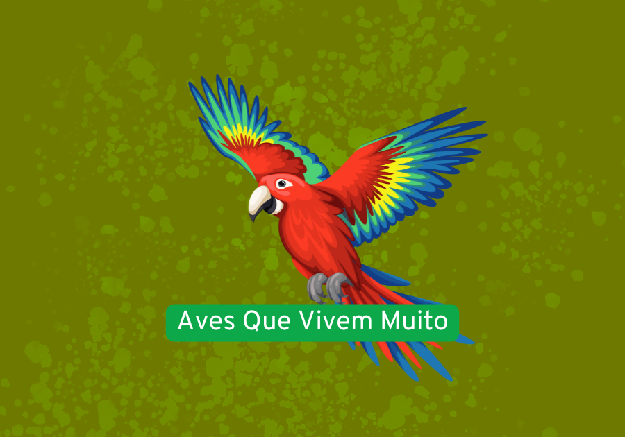 pássaros que vivem muito