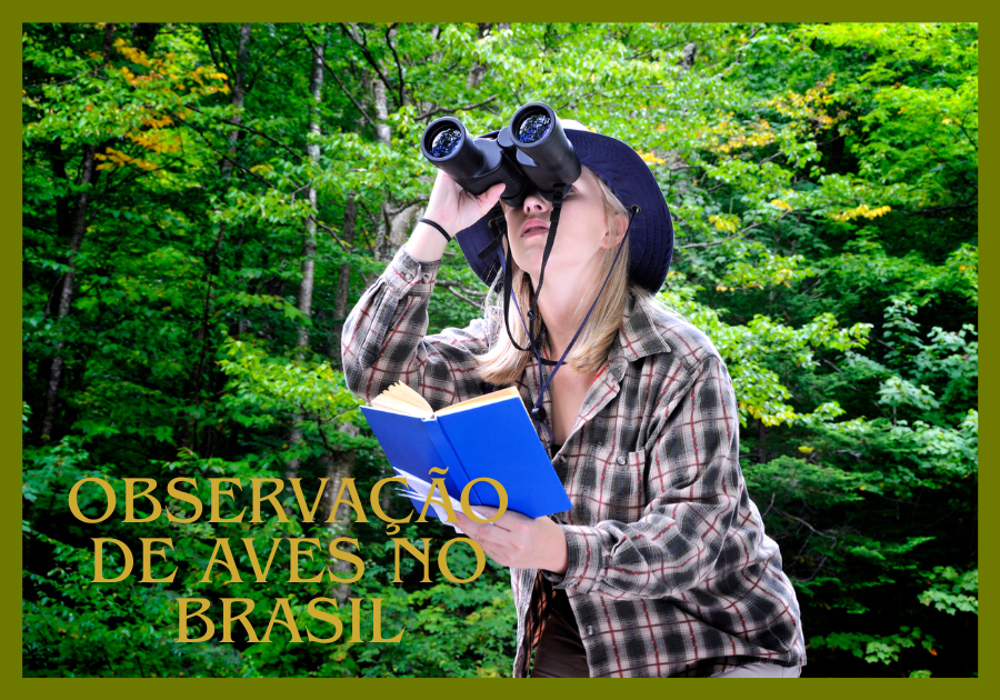 observação de aves no Brasil