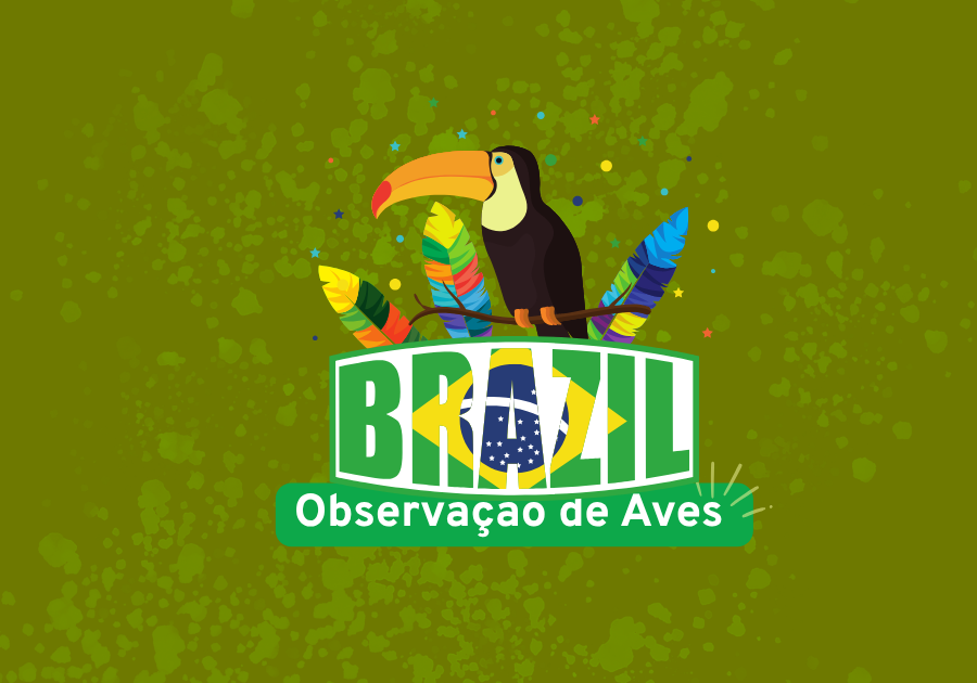 observação de aves no Brasil