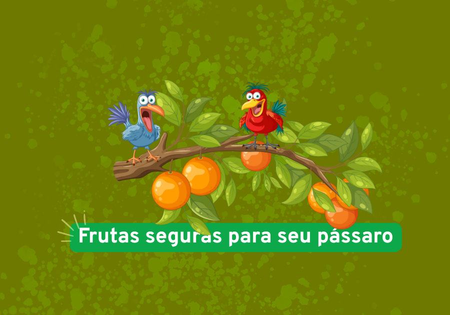 Frutas seguras para oferecer ao seu pássaro