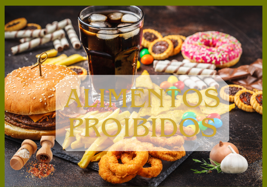 alimentos proibidos para aves