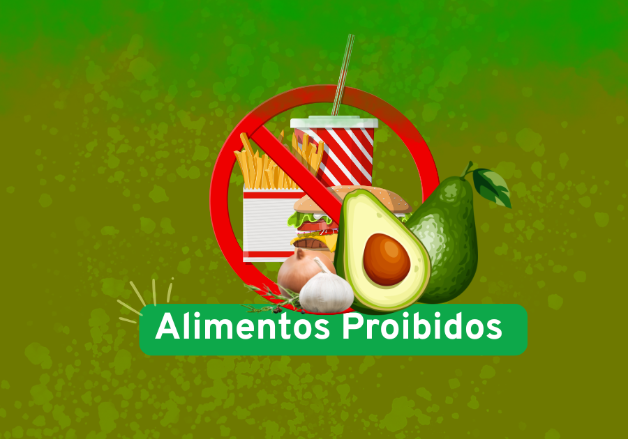 alimentos proibidos para aves