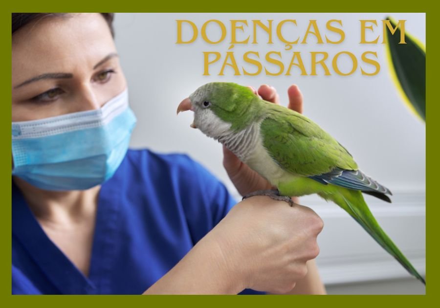 Doenças Em Pássaros