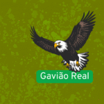 Gavião-Real