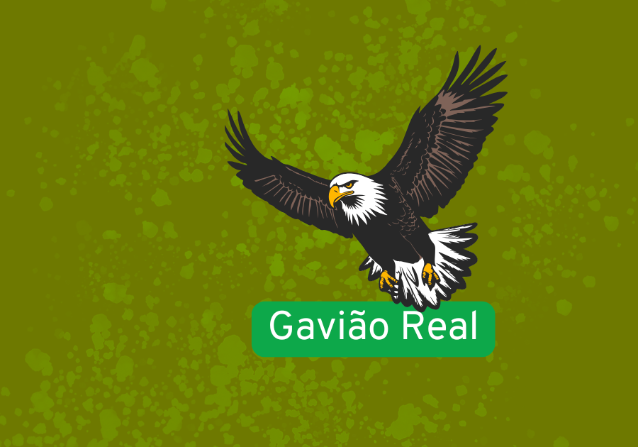Gavião-Real