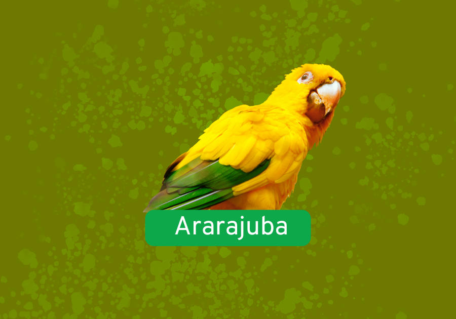 Ararajuba